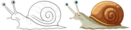 Colorful snail illustration with matching black and white outline drawingのイラスト素材