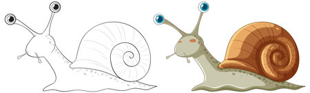 Colorful snail illustration with matching black and white outline drawingのイラスト素材