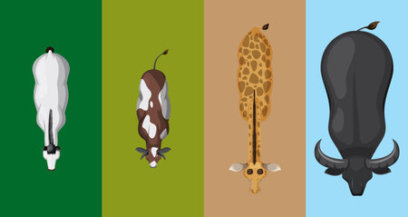 Illustration of four animals from a top perspectiveのイラスト素材