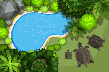 Turtles relaxing near a tranquil forest pondのイラスト素材