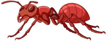 Detailed vector illustration of a red ant in side viewのイラスト素材