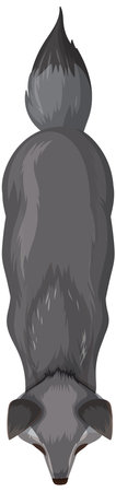 Illustration of a gray fox from aboveのイラスト素材