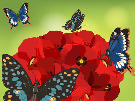 Colorful butterflies flutter around vivid red flowers against a soft green background, showcasing intricate details and vibrant huesのイラスト素材