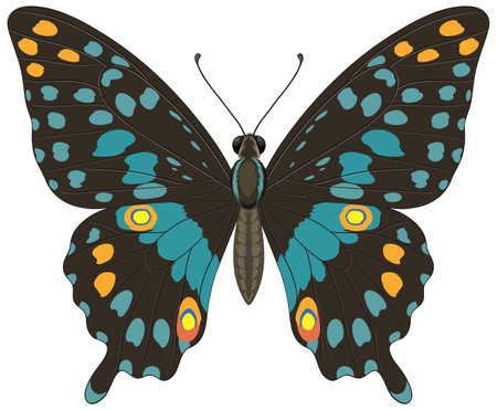 Vibrant butterfly illustration with intricate wing patterns, featuring bold colors and symmetrical design, ideal for nature-themed projectsのイラスト素材