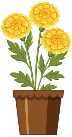 Bright yellow marigold flowers with lush green leaves in a simple brown pot. Clean vector style with vivid colorsのイラスト素材