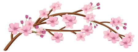 Elegant cherry blossom branch with pink flowers and buds. Minimalist vector style with soft colors and clean linesのイラスト素材