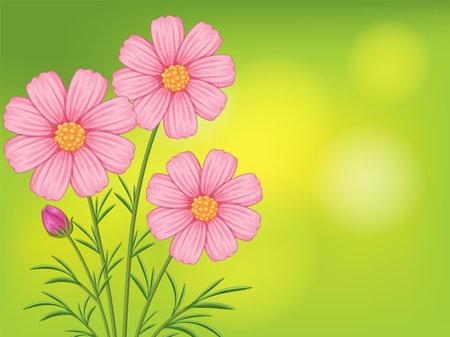 Vector illustration of pink cosmos flowers with lush green leaves on a bright green gradient backgroundのイラスト素材