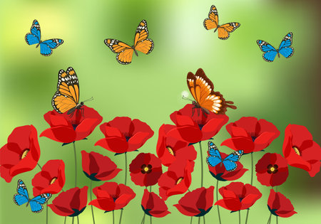 Vibrant butterflies flutter above red poppies against a soft green background. Vector illustration with vivid colors and natural compositionのイラスト素材