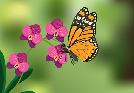 Vector illustration of a monarch butterfly resting on vivid pink orchids with a soft-focus green backgroundのイラスト素材