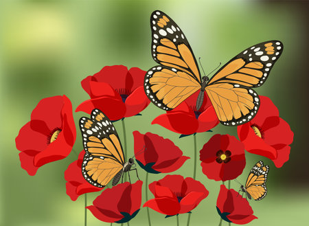 Vector illustration of monarch butterflies resting on vivid red poppies with a soft-focus green backgroundのイラスト素材