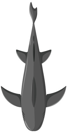 Illustration of a shark from above in waterのイラスト素材
