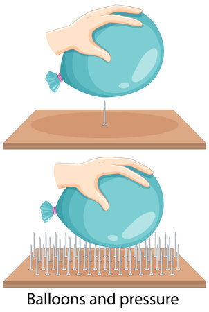 Illustration of a balloon under pressure on single and multiple nails, demonstrating physics concepts with clear visualsのイラスト素材