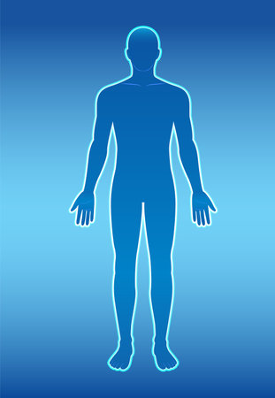Vector illustration of a human silhouette with a blue gradient background, highlighting anatomical form and symmetryのイラスト素材
