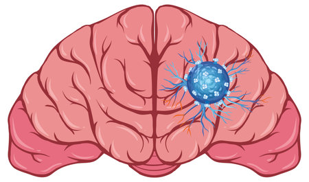 Vector illustration of a human brain with a highlighted neural network. Detailed, colorful design emphasizing neural connectionsのイラスト素材