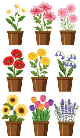 A vibrant vector illustration of various potted flowers in a grid layout, showcasing diverse colors and botanical detailsのイラスト素材