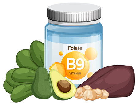Vector illustration of a vitamin B9 folate supplement jar surrounded by spinach, avocado, beet, and walnuts in a clean flat design styleのイラスト素材