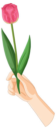 Vector illustration of a hand holding a pink tulip with green leaves, featuring clean lines and vibrant colorsのイラスト素材