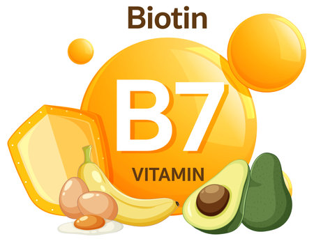 Vector illustration of vitamin B7 biotin with food sources like avocado, banana, eggs, and cheese in a bright, flat design styleのイラスト素材