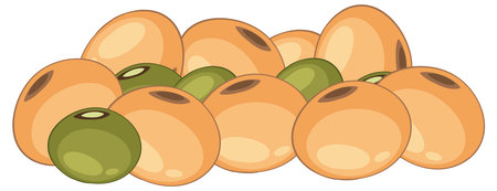 Cartoon-style vector illustration of yellow and green soybeans in a clustered pile, using flat colors, clean outlines, and simple shadingのイラスト素材