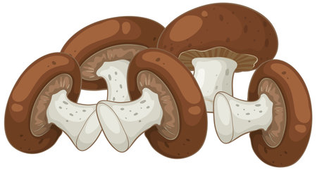 Group of brown mushrooms with white stems in a flat vector style, featuring clean lines, soft shading, and neutral color paletteのイラスト素材