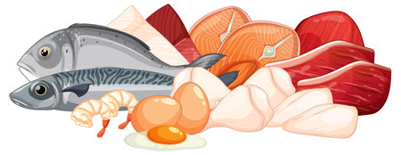 Flat vector illustration of protein-rich foods: fish, shrimp, eggs, chicken, and red meat.のイラスト素材
