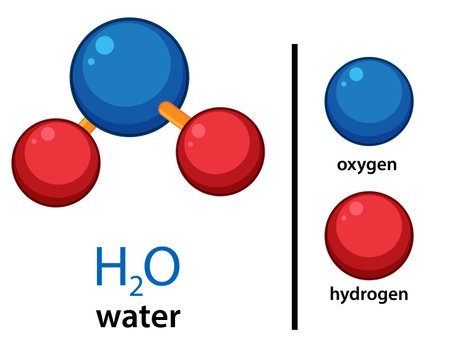 Vector illustration of H2O molecule with labeled oxygen and hydrogen atoms, flat styleのイラスト素材