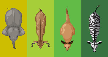 Illustration of elephant, deer, kangaroo, and zebraのイラスト素材