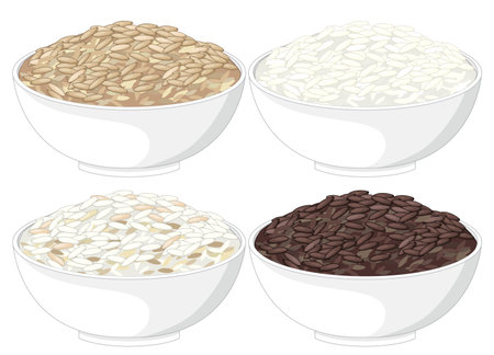 Vector illustration of four bowls with assorted rice varieties in a clean, minimal grid layout.のイラスト素材