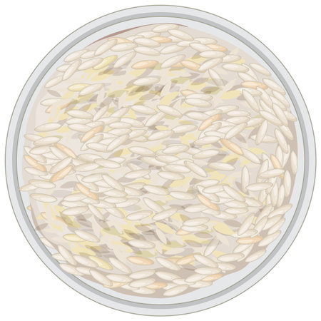 Vector illustration of uncooked rice grains in a shallow round bowl, flat design style with soft neutral colors and clean outlinesのイラスト素材