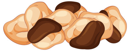 Vector illustration of roasted cashew nuts with brown skins isolated on a white background.のイラスト素材