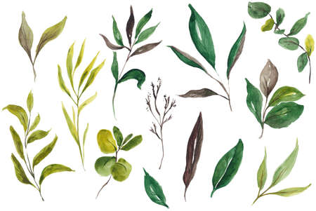 Floral Foliage Wreath, Floral Bouquet, Flower Ribbon, Sprig, Blossomの写真素材