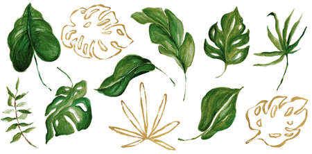 Hand Drawn Watercolor Tropical Clipart, Leaves, Wreath, Brush Stroke, Texture, Ink Dropの写真素材