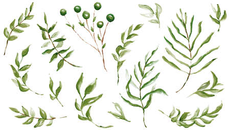 Hand Drawn Watercolor Tropical Clipart, Leaves, Wreath, Brush Stroke, Texture, Ink Dropの写真素材