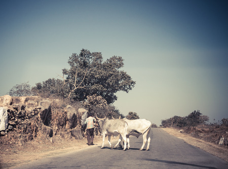 India Udaipur suburb sceneryの写真素材