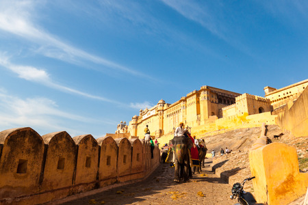 India Jaipur Amber Fort Elephant Team