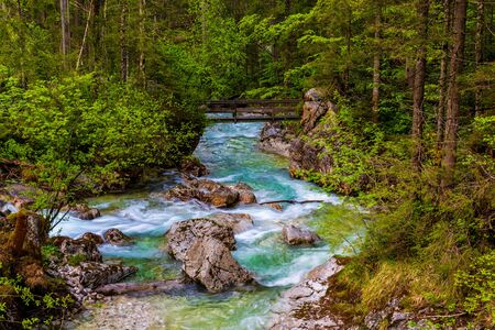 Stream in the Enchanted Forest of Ramsau, Germanyの写真素材