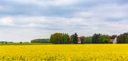 Countryside scenery in Hechingen, Germany