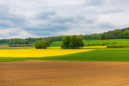 Field scenery in Hechingen, Germanyの写真素材