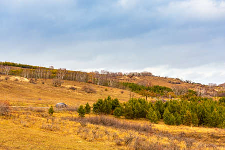 The scenery of the grassland sky road in Saihanba, Chengde, Hebeiの写真素材