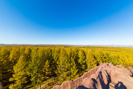 Chengde Saihanba Grassland Wind Farmの写真素材