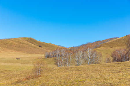 Ulan Butong Hengli Mountain scenery