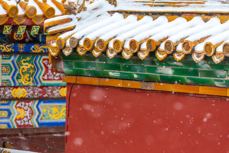 The eaves of the Forbidden City in the snowのeditorial素材