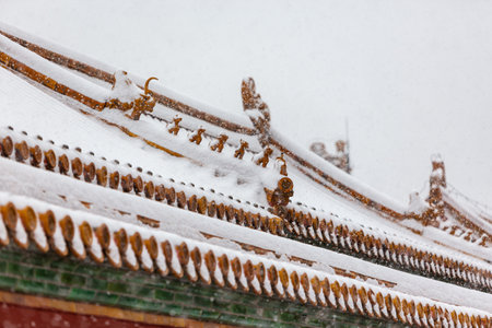 The eaves of the Forbidden City in the snowのeditorial素材