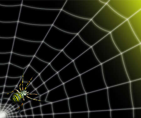 Beautiful spider on its web agiope hornet bright sun against a backdrop of gradationのイラスト素材
