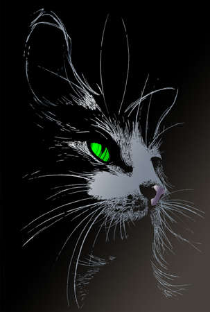 The Catのイラスト素材