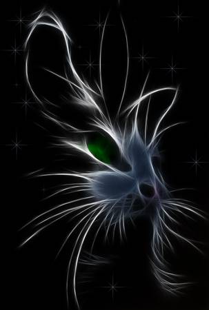 Factal Catのイラスト素材