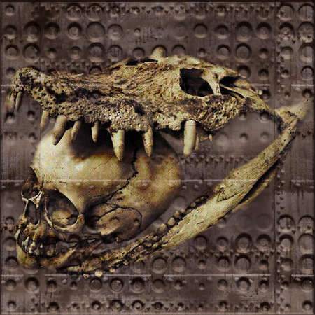 Crocodil Skullのイラスト素材