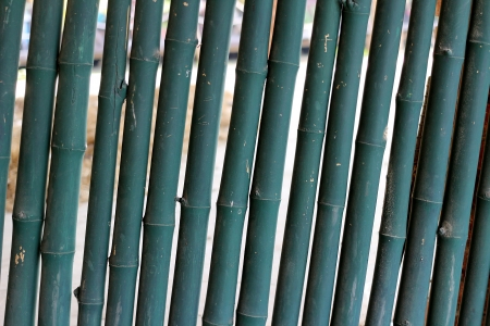 bamboo grungeの写真素材