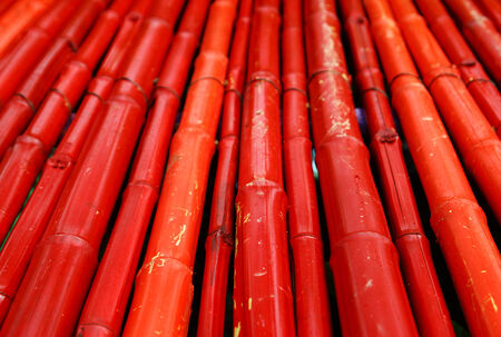 Red bamboo の写真素材