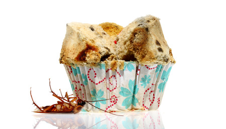 Die brown cockroach from spoiled food toxinの写真素材